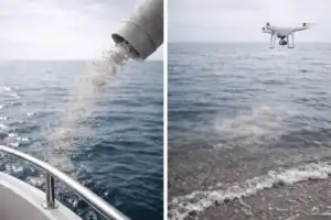 Askespredning over havet i rolige og værdige omgivelser